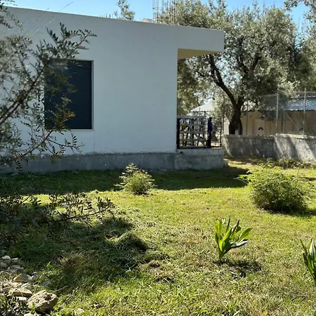 Shega Apartment