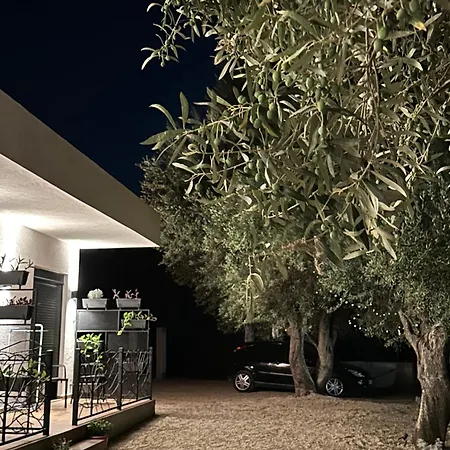 Apartamento Shega Borsh